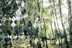 thirstyear:  Studio Nomad’s mirror installation reflects fragments of forest