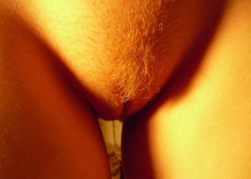 gingerpuzzy:  <3