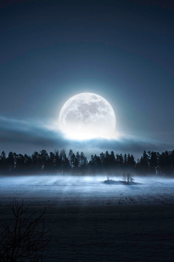 plasmatics:  Moon by Ulf Härstedt 