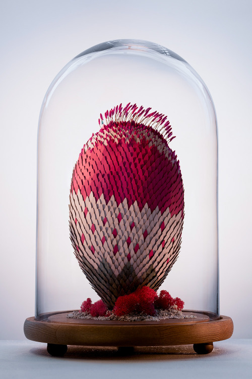 itscolossal: More: Otherworldly Mixed-Media Plants Sprout Like Creatures from a Dr. Seuss Book