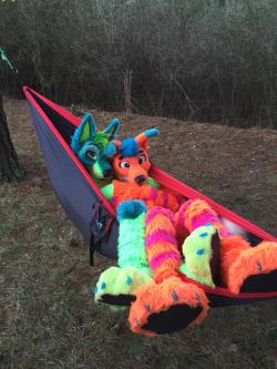 Techtiggie:  Rt @Aviginsberg: Snuggled Up In A Hammock With The Cutest Jackal Ever!!!