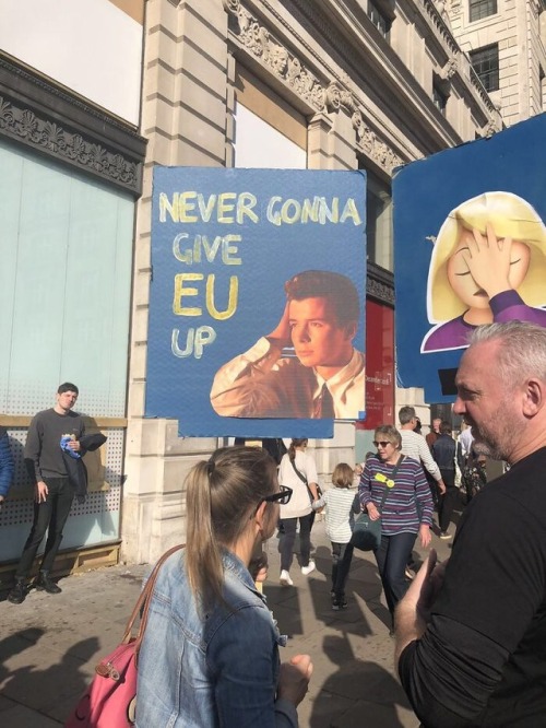 Anti brexit sign.