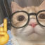 koilanipt2