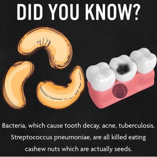 poppatre: So helpful. I didn’t know all did you? 