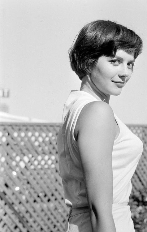 vintagebreeze: Natalie Wood.