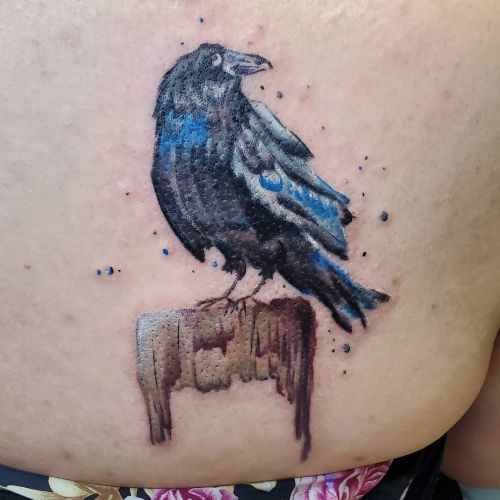 <p>Blackbird done today, thanks Kaitlin, it was great working with you today! <br/>
.<br/>
#ladytattooer #thephoenix #copperphoenix #shelbyvilleindiana #indianapolistattoo #indylocal #do317 #indytattoo #circlecity #waverlycolorco #industryinks #yournewfavoriteink #eztattooing #wearesorrymom #stigmarotary #blackbird #blackbirdtattoo #birds #colortattoo  (at Shelbyville, Indiana)<br/>
<a href="https://www.instagram.com/p/CPG146ErYXp/?utm_medium=tumblr">https://www.instagram.com/p/CPG146ErYXp/?utm_medium=tumblr</a></p>