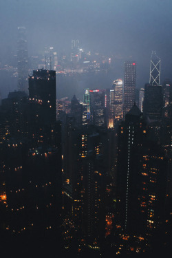 envyavenue:  Cityscape