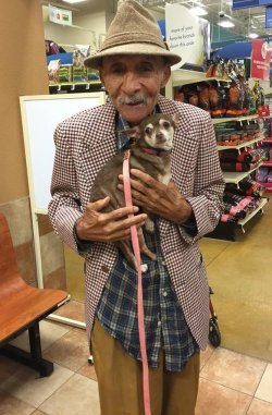 huffingtonpost:  World War II Vet And Scared Chihuahua Find True Love, Together“She wouldn’t take her eyes off of him, and he wouldn’t stop smiling at her”