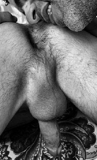 hairylomas:  Partes de hombres para lamer 