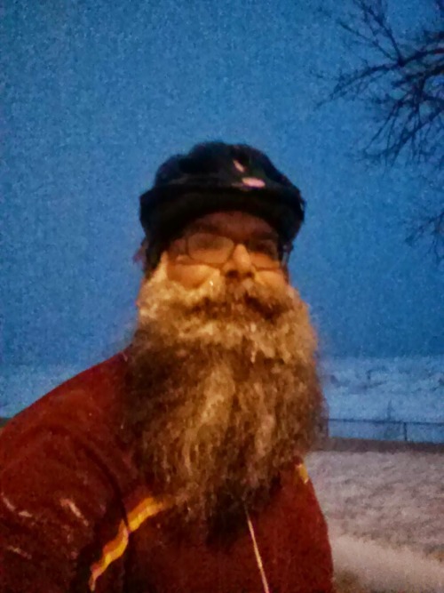 machobeagle:Snowy and wintery beard. I wasn’t porn pictures