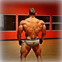 Bullpigwanks:  Musclemonsterz:  Kyle Wheeler  Grow Those Glutes Bullpig