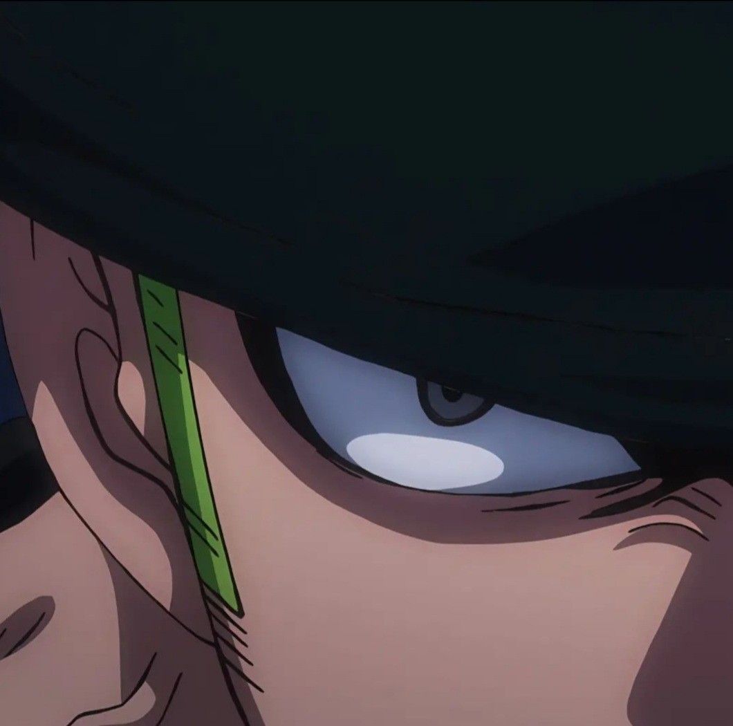 Zoro PFP  Anime, Roronoa zoro, One piece manga