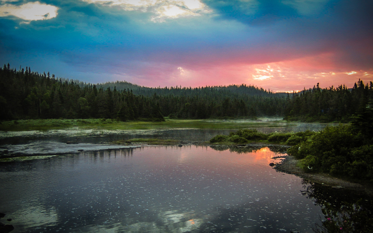  after a miserable night of camping in the rain, woke up to this. (newfoundland,