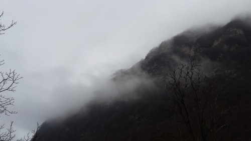 electricrain:Early morning mist in the mountains of Arogno, Switzerland@plutonians