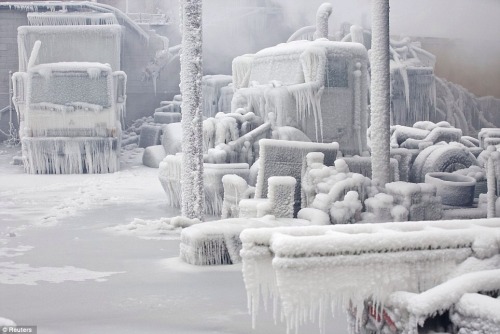 Porn  Chicago under ice, couple days ago. January photos