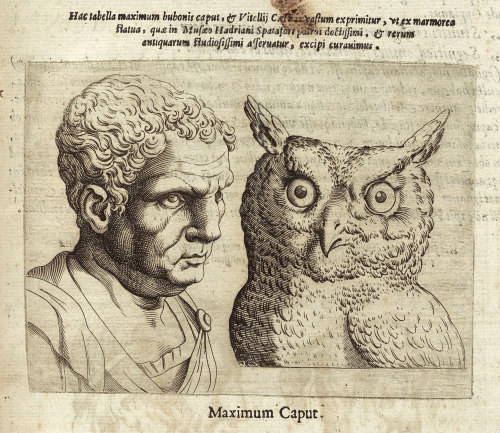 Illustration from De Humana Physiognomonia by Giambattista della Porta, 1586