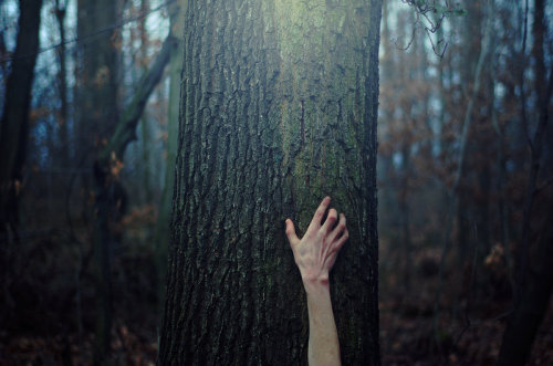 melisica:  (by all17) 