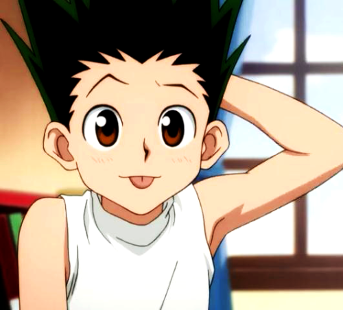 gatherer-schafer: gatherer-schafer:Gon going :Pa definitive edition Togashi on 25th May 2022 after t