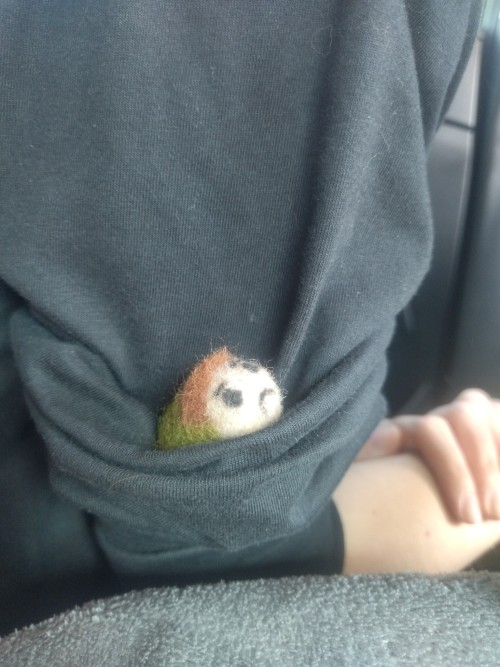 Wesker And Chris (Yeah, It's My First Thing From Wool And Needle Felting) Are On Vacation!