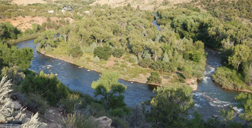 nde-and-proud:  aaron2point0:  nativenews:  the-gasoline-station:  Before/After Assholes Toxic water floods river after EPA disaster at Gold King Mine in Silverton Source: The Durango Herald GIFs: The Gasoline Station  This wasn’t an accident. This