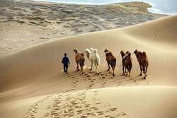 travelingcolors:  Gobi Desert | China (by JS Lee)