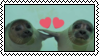 seallove