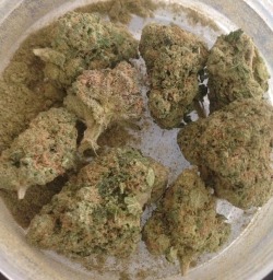 bluntrollerandsmoker:  Alien OG smothered in kief