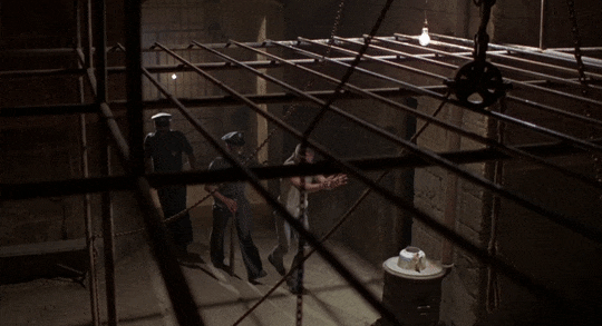 tumblr_paitq2UrJi1wxtgjco1_540.gifv