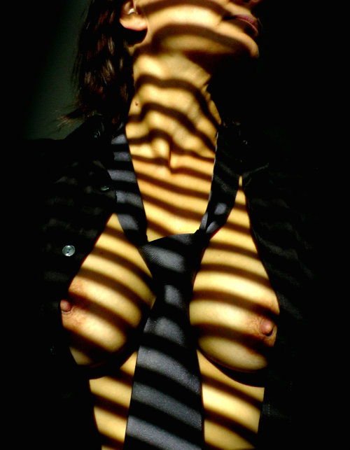 1,001 Erotic Lights