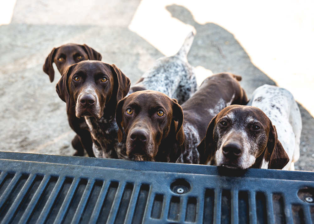 406getaway:   	Load ‘Em Up by Jillian     