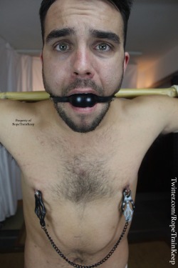 ropetrainkeep:  Notice the facial expression