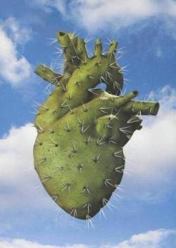 aullidodecisne:  Mi corazoncito es como de nopal;pica y re pica picaparece un puñal.