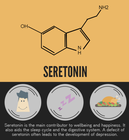 tobeagenius:We have a lot to owe to neurotransmitters, they are the driving force behind every chemi