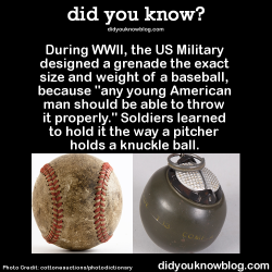 did-you-kno:  During WWII, the US Military