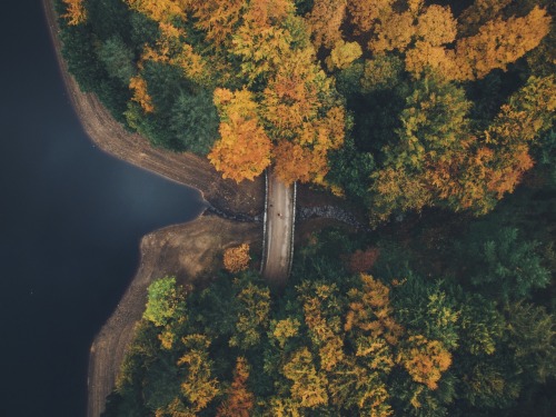 dpcphotography:Flying High