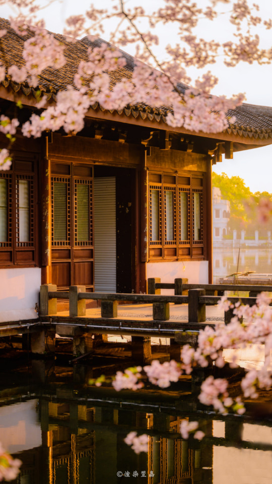 Spring & Morning Glory In West Lake, Hangzhou, Zhejiang Province By 渲染翌嘉