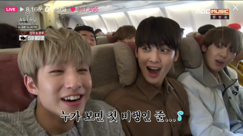 penguinsarelpenguinsarelfeve:  Look how adorable