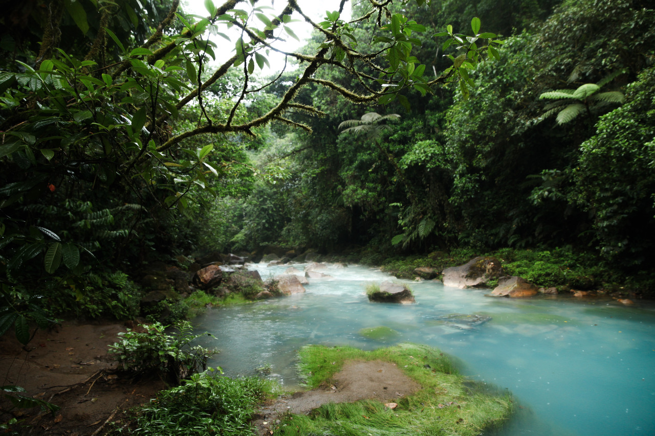 jonahreenders:  Rio Celeste | Costa RicaBy: Jonah Reenders