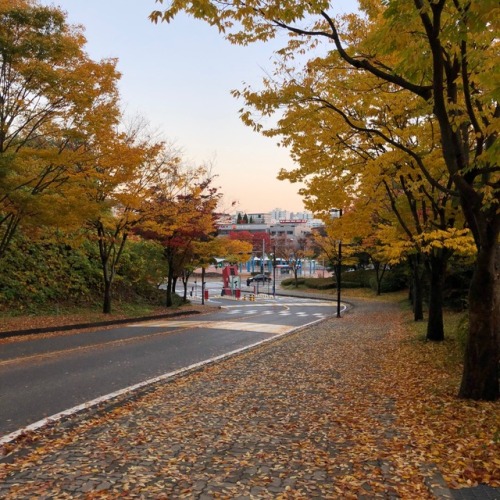 뜨거운 여름은 가고 남은 건 볼품없지 만을 들으며 여름을 보내준 게 얼마 안 된 것 같은데.. 어느새 가을도 보내주는 중..