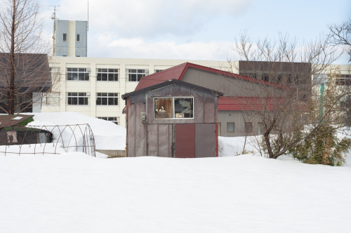 Hiranai-machi  Gonohe-machi Hachinohe City in Aomori Prefecture平内町 五戸町 八戸市（青森県）MASATOSHI SAKAMOTO : 