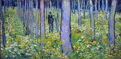 lonequixote:   Vincent van Gogh     Undergrowth