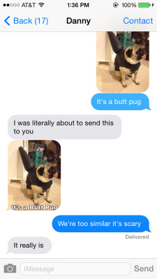 softgrungepug:  so this happened