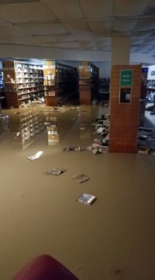 thelibraryperson:  diebrarian:  sepulchrally-handsome:  microaffections: This our library here in Spring, Texas, in the aftermath of Hurricane Harvey. When I think of people who have lost everything, I hate how sad I feel about a library. But this is