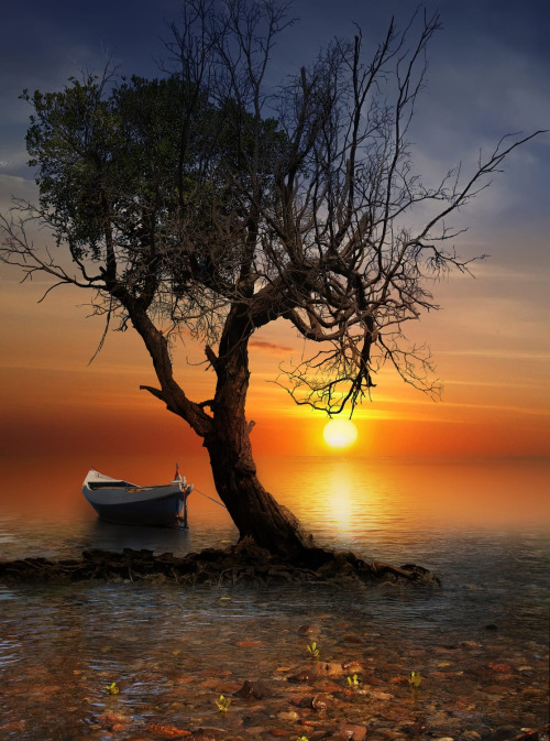 coiour-my-world:Inspirasi ~ by iD’sThe view of you in your world is where your mind is at that momen