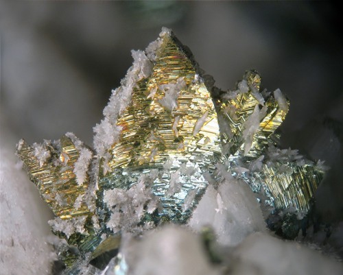 underthescopeminerals: Marcasite, CalciteHarjo Neutkens’ Photo