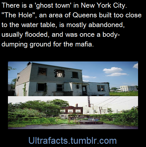 ultrafacts:(Fact Source+more pics) Follow Ultrafacts for more facts