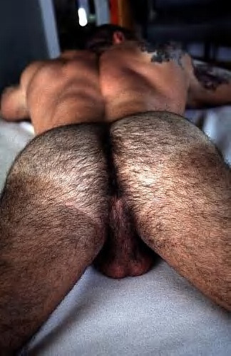 Hairy Hunks           View Post adult photos