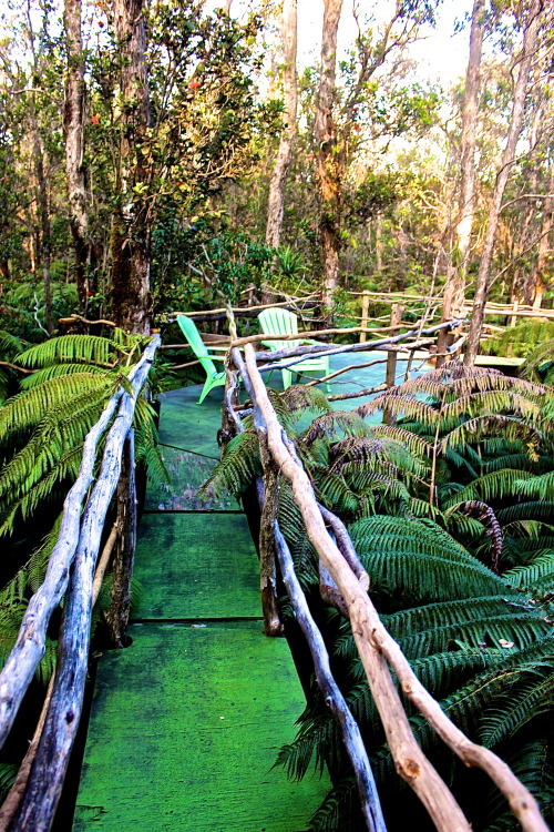 ffsry:  hybrid-machine:  lilysprettysillylife:  http://www.volcanotreehouse.net  Oh my this was a house created with love. Very inspirational for one of my own, one day :)  i want this to be my home some day