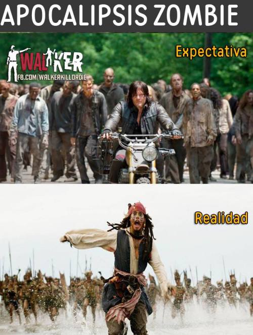 LOLZombie apocalypse:-Expectations.-Reality.