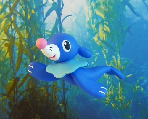 krowzivitch:  Best and most talented sea pupper Popplio! ◕ᴥ◕ 